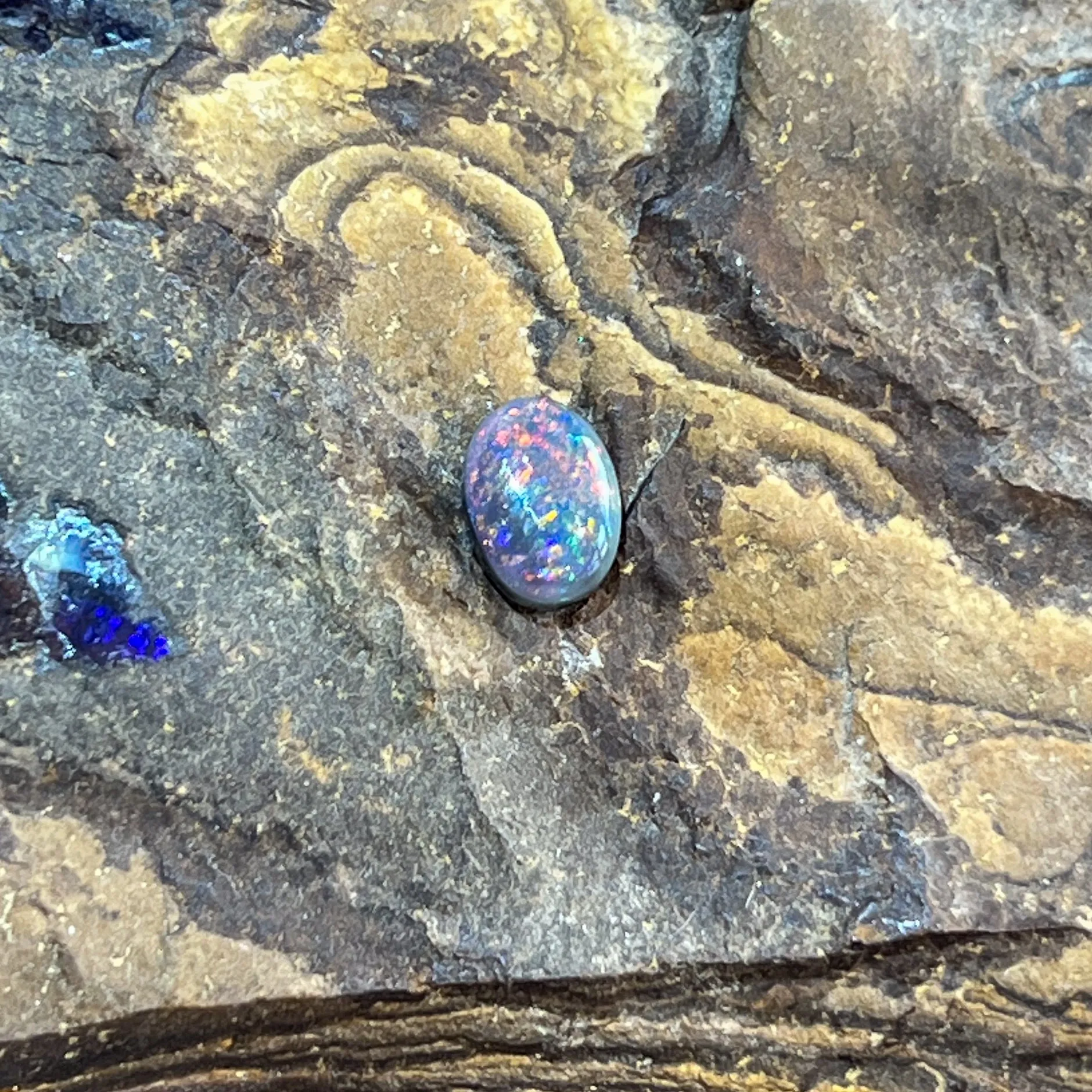Loose Black Opal 1.13ct