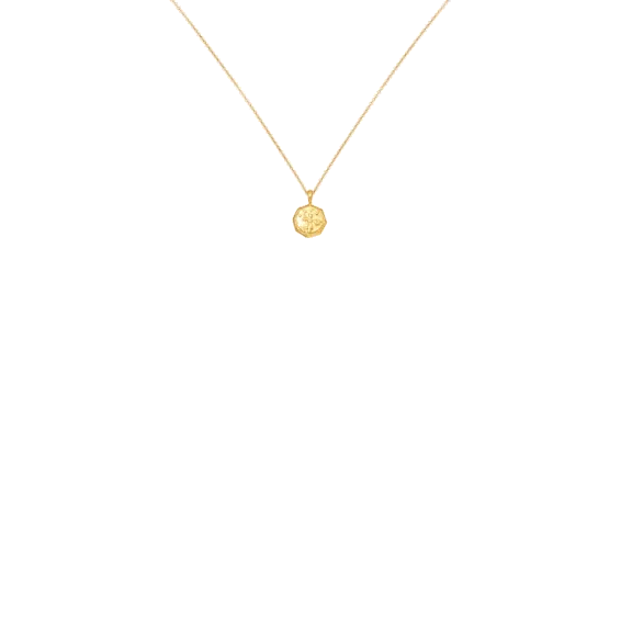 Lucy Williams Octagon Coin Necklace